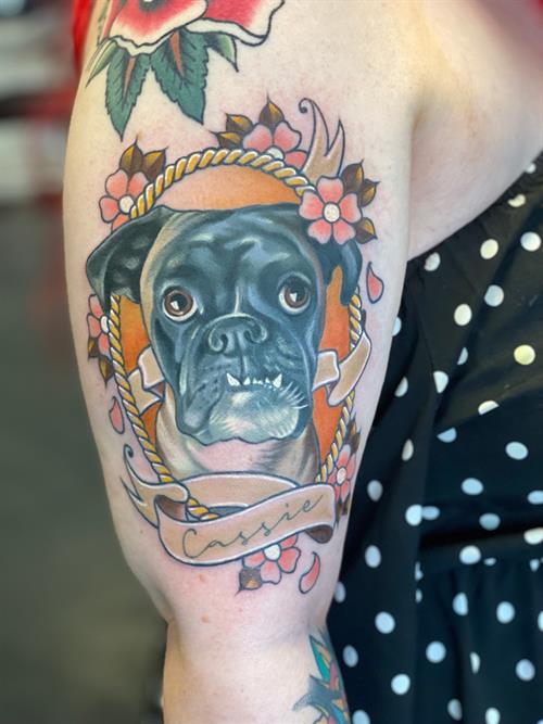 Boxer pet portrait