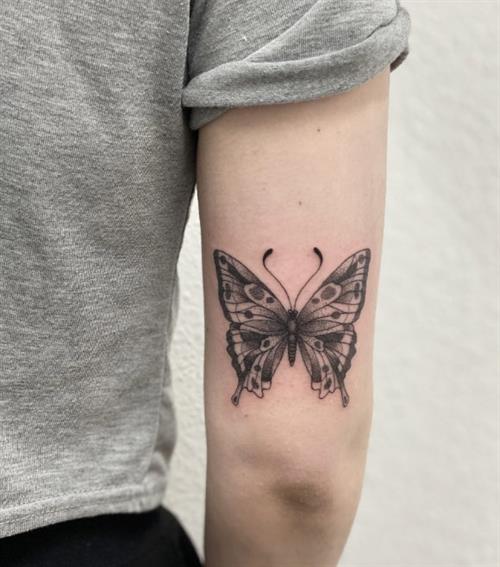 Fine line dotwork butterfly