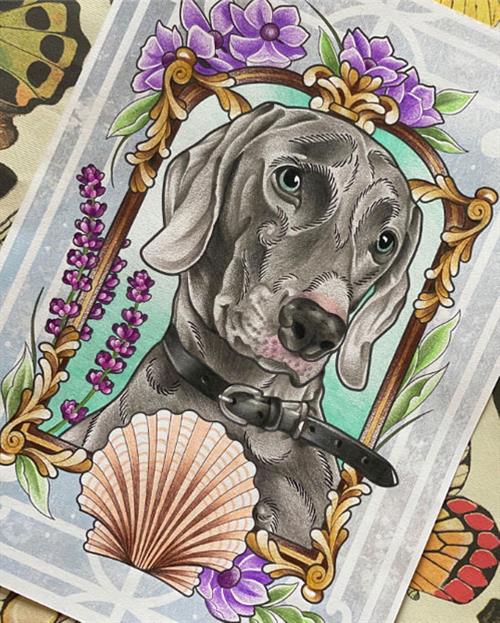 Weimaraner - neotraditional illustration