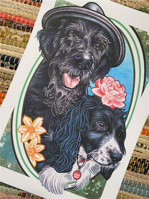 Pet portrait - neotraditional illustration