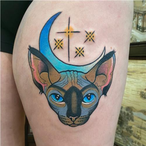 Sphynx cat, moon and stars