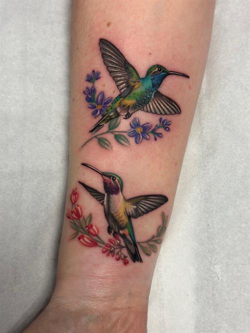 humming bird