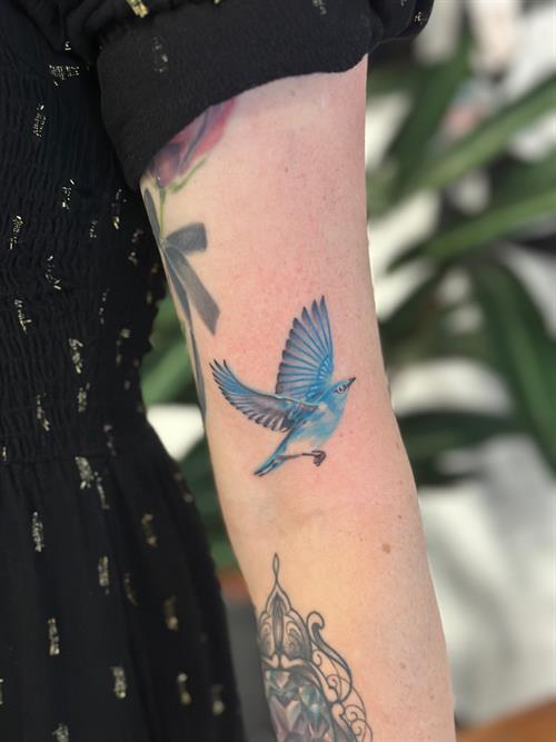 blue bird tattoo